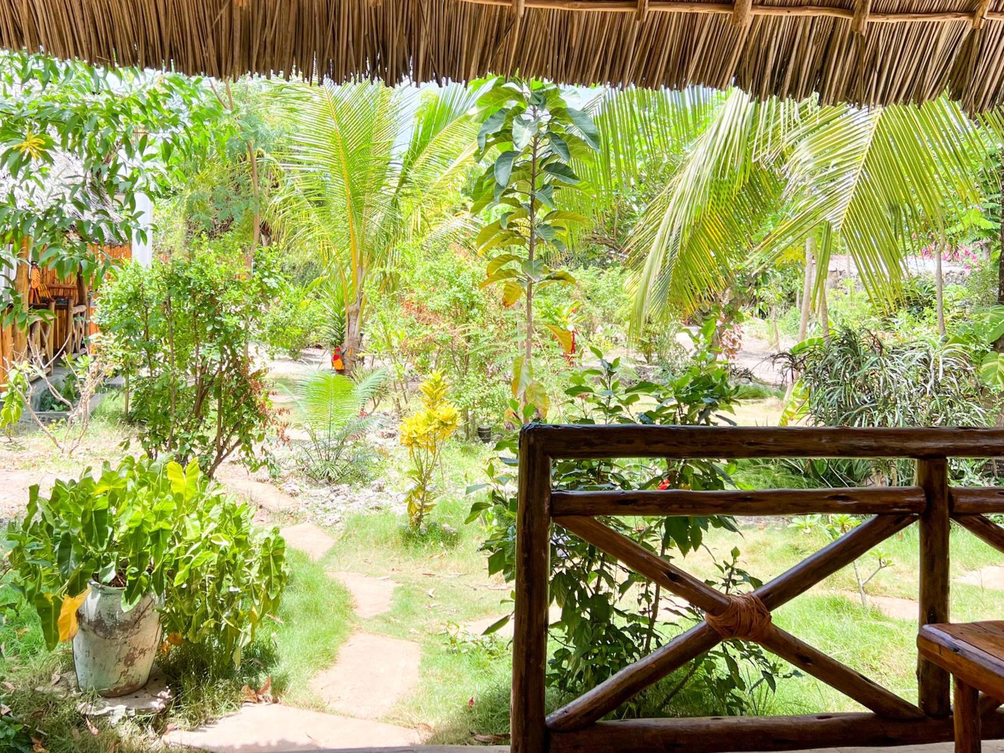 Holiday home Cozy - Garden, Terrace, Rooftop, Bwejuu
