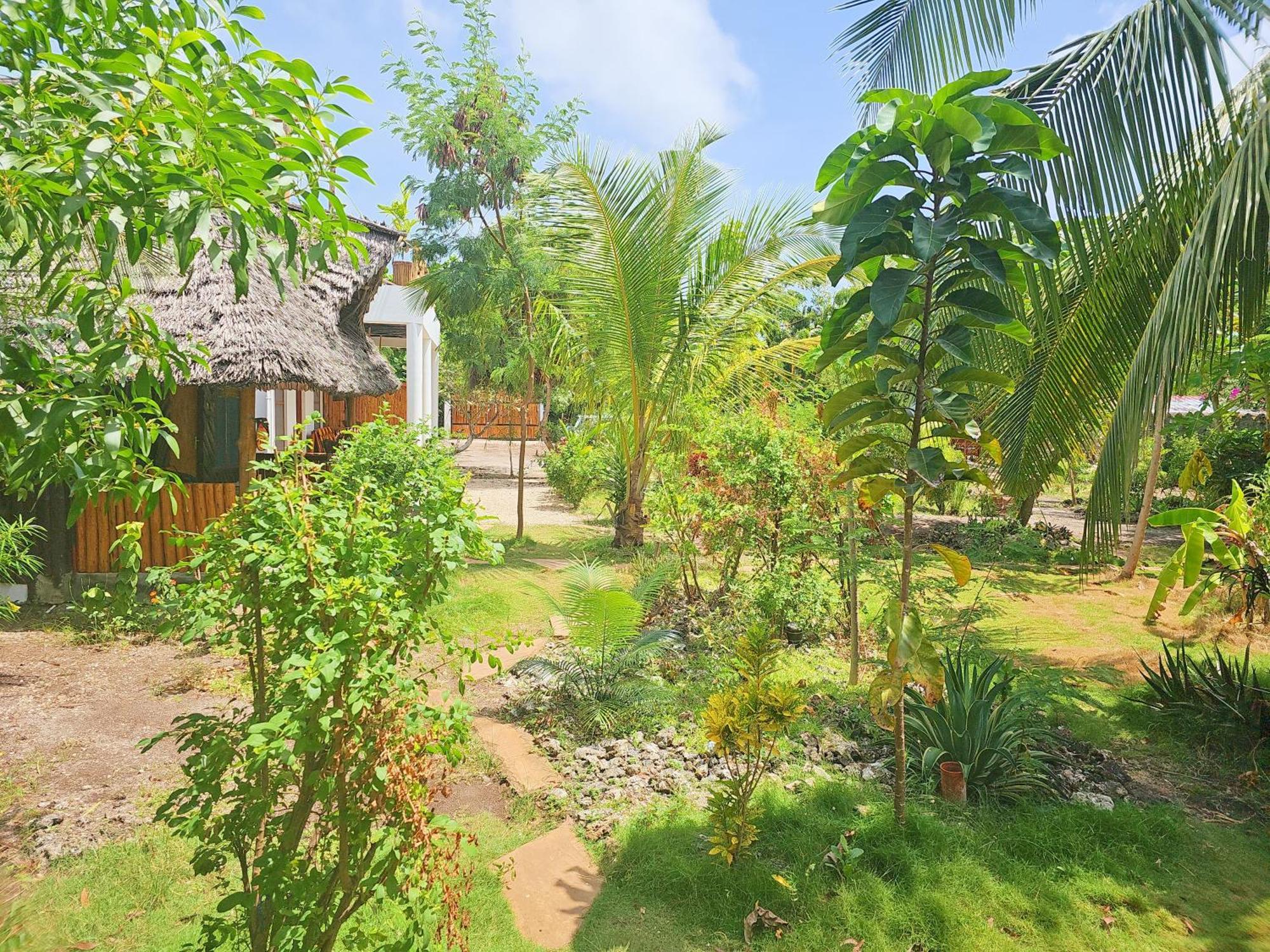 Cozy - Garden, Terrace, Rooftop, Holiday home Bwejuu