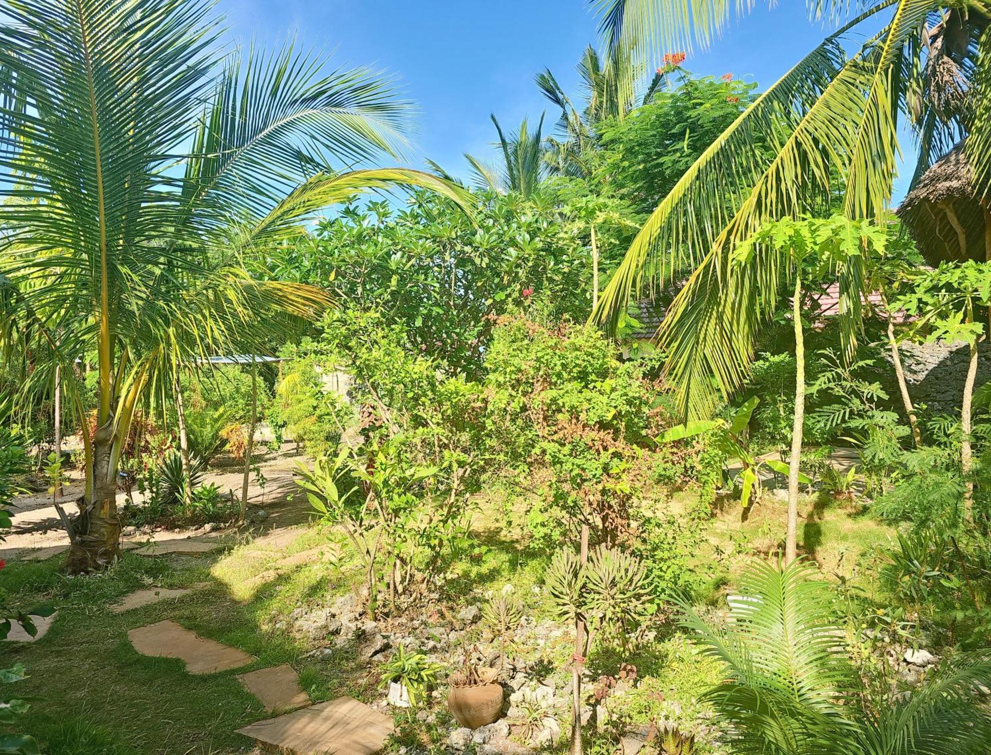 Cozy - Garden, Terrace, Rooftop, Holiday home *