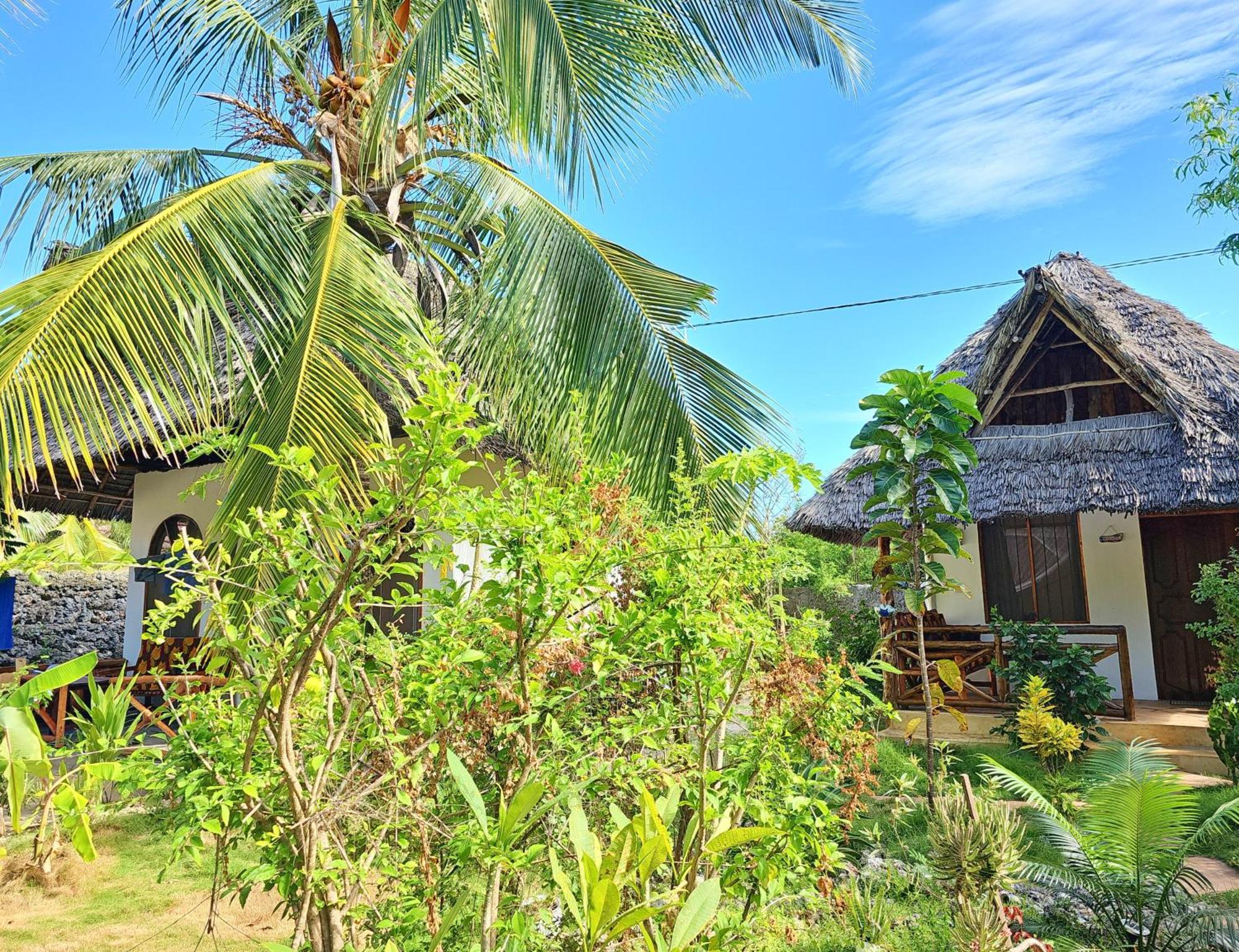 Cozy - Garden, Terrace, Rooftop, Holiday home *
