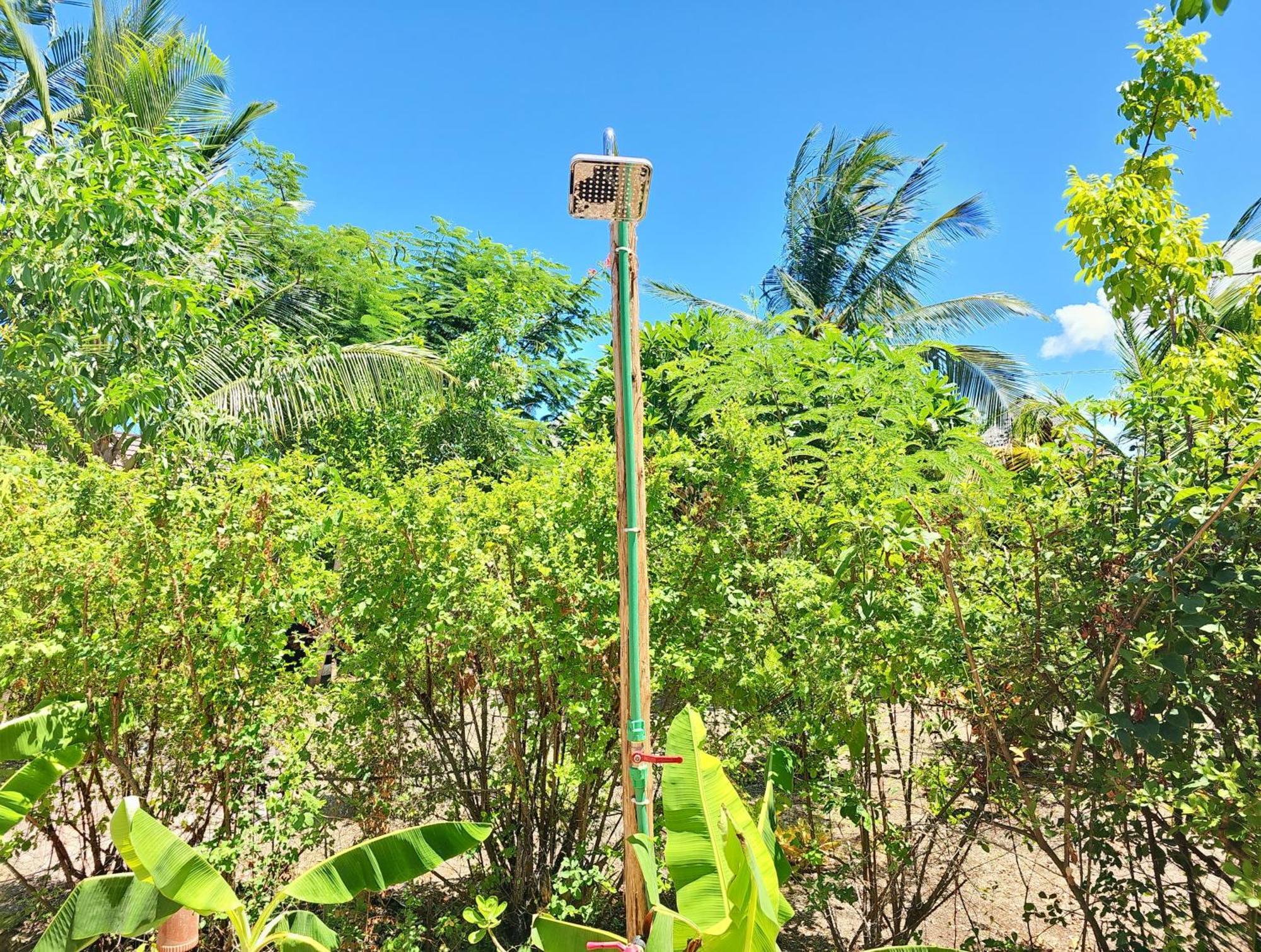 Cozy - Garden, Terrace, Rooftop, * Bwejuu