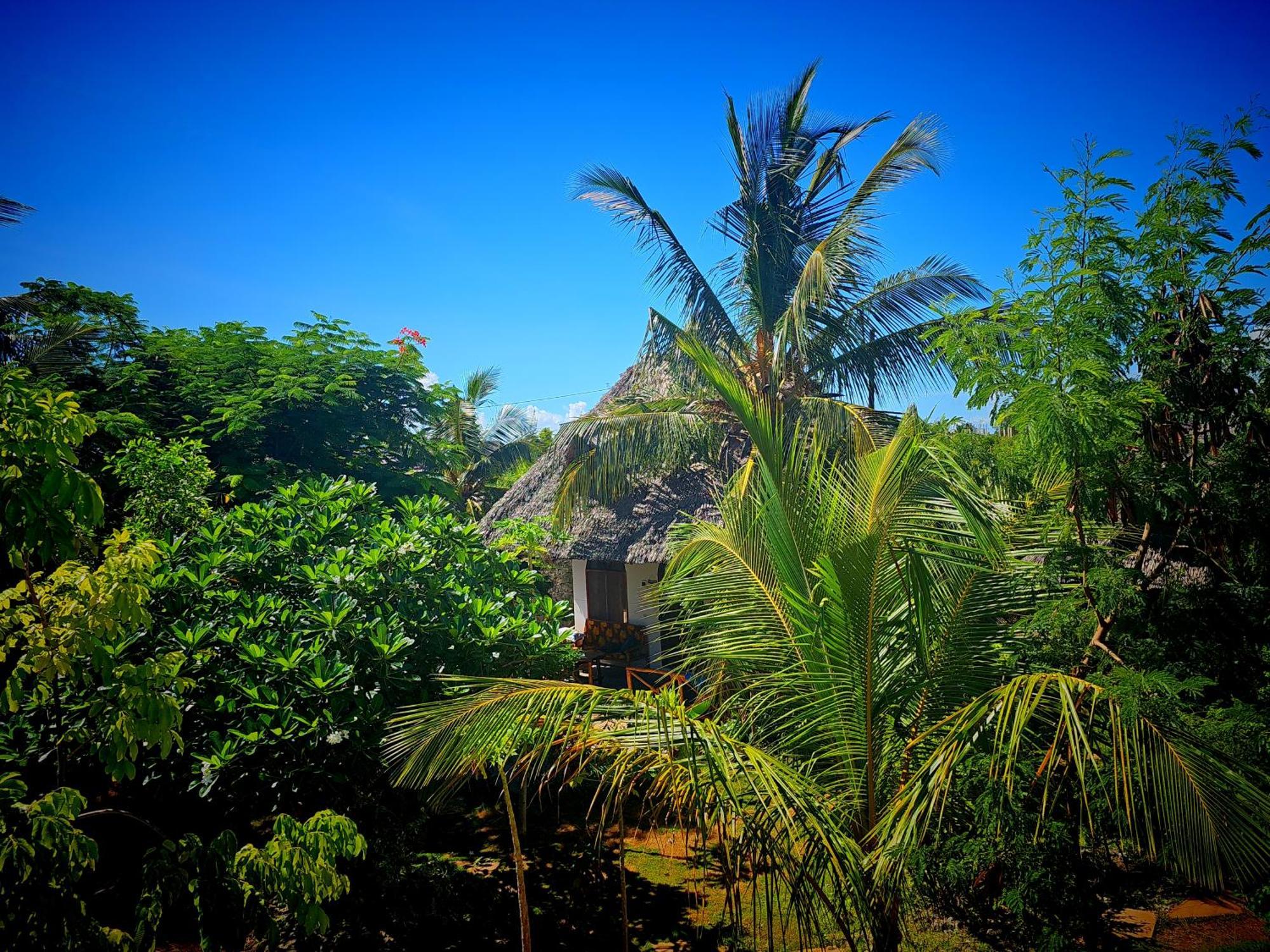 Cozy - Garden, Terrace, Rooftop, * Bwejuu
