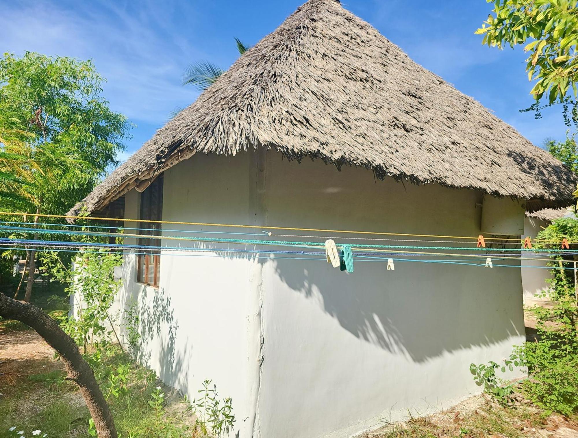 Cozy - Garden, Terrace, Rooftop, Casa vacanze *
