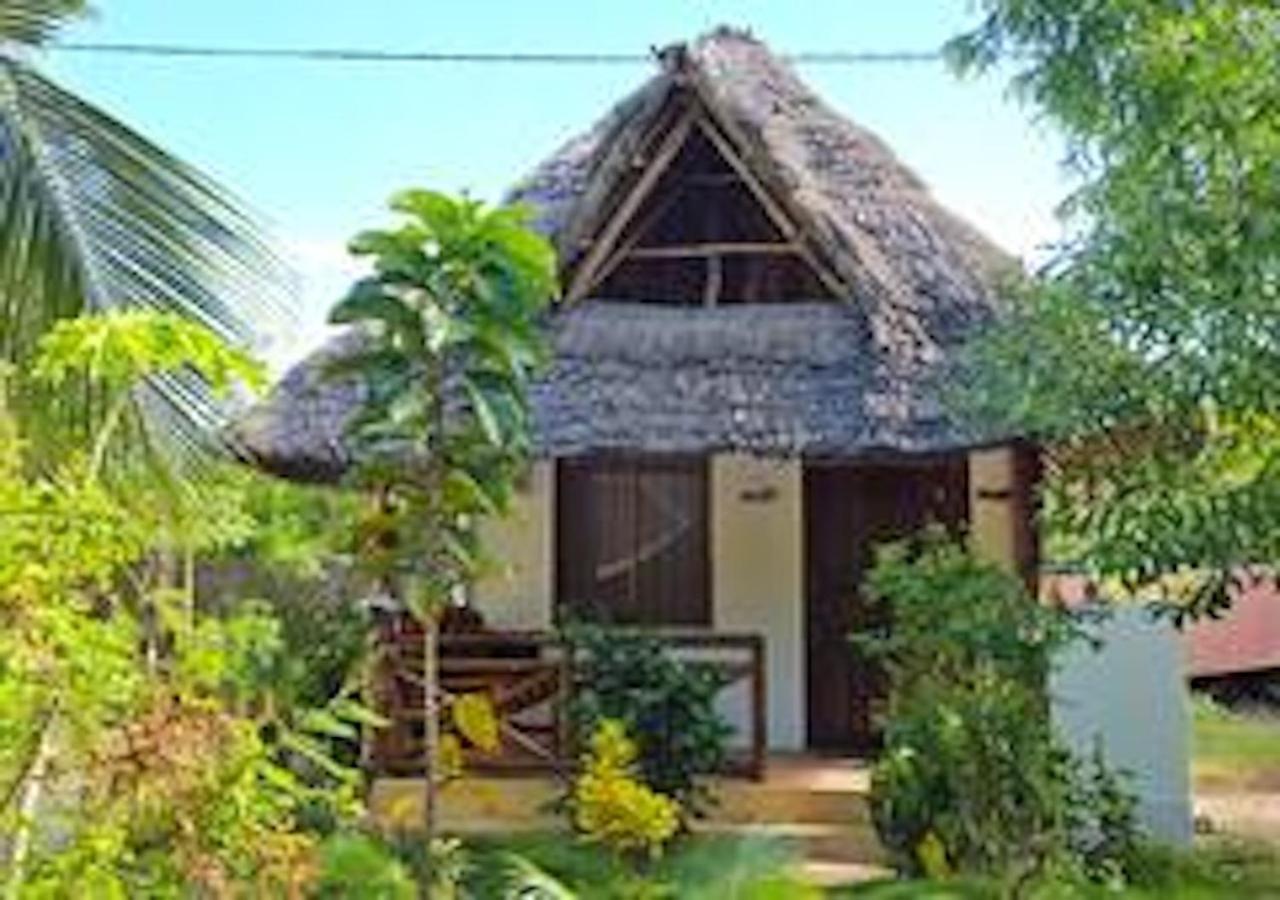 Casa vacanze Cozy - Garden, Terrace, Rooftop, Bwejuu